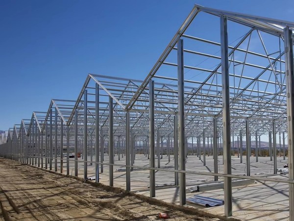 Light Deprivation Greenhouse Gutter Connected Multispan blackout systems for medical plants-65