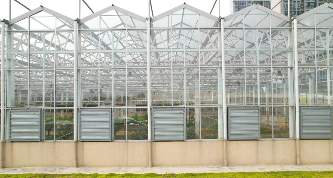 The Pros and Cons of Glass Greenhouses3