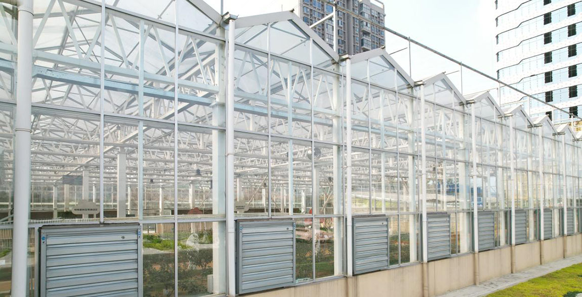 The Pros and Cons of Glass Greenhouses4