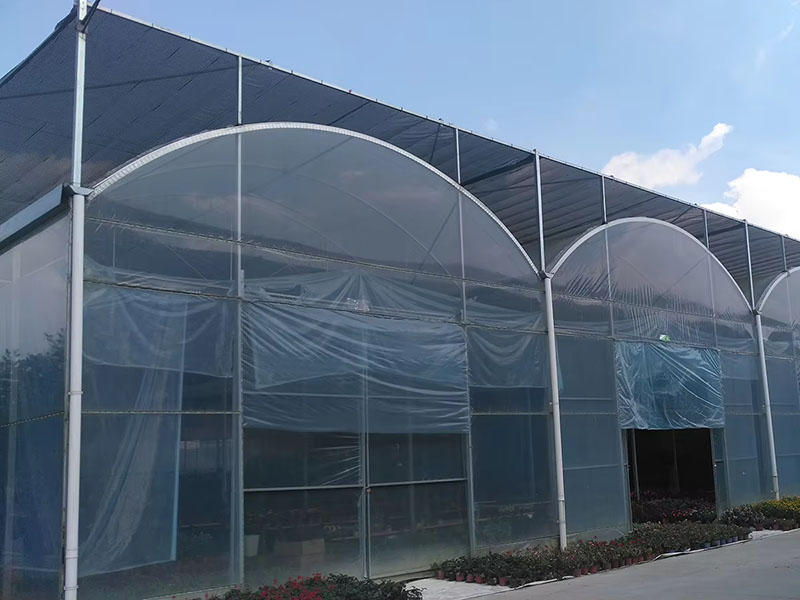 Strong Wind Resistance Low Cost Hot Sale Agricultural Commercial Plastic Greenhouse-364