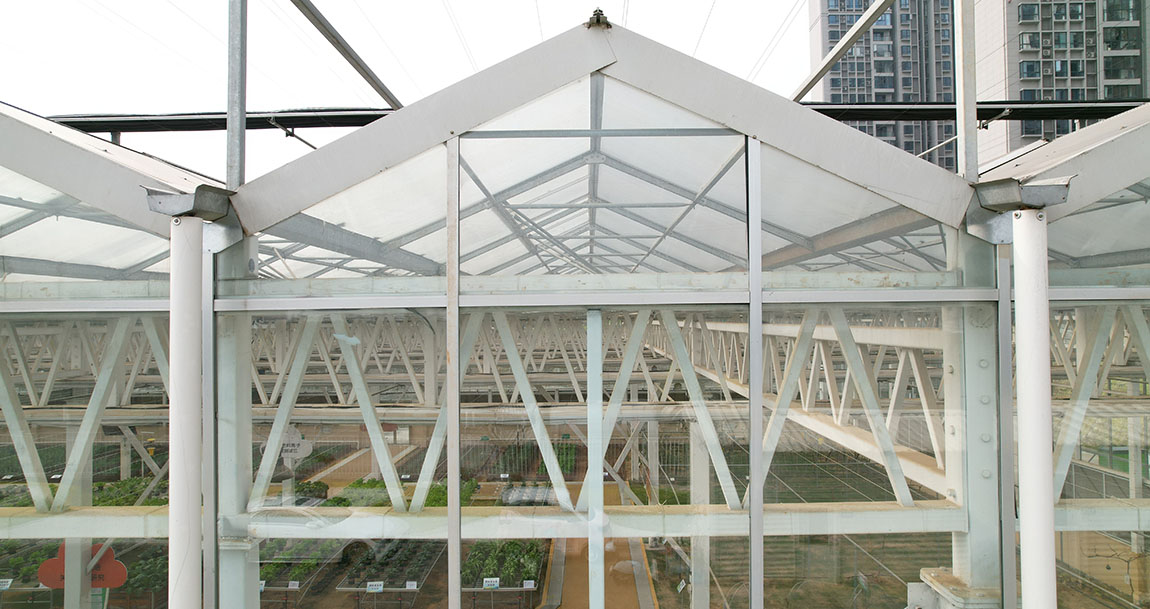 The Pros and Cons of Glass Greenhouses5