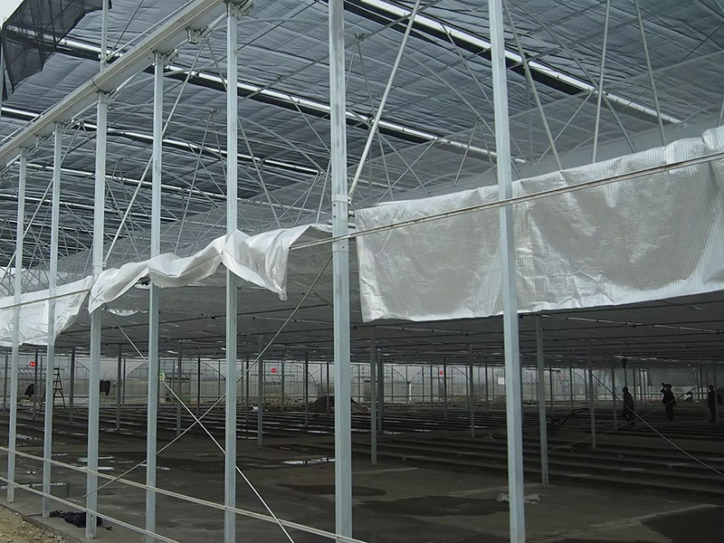 Strong Wind Resistance Low Cost Hot Sale Agricultural Commercial Plastic Greenhouse-45