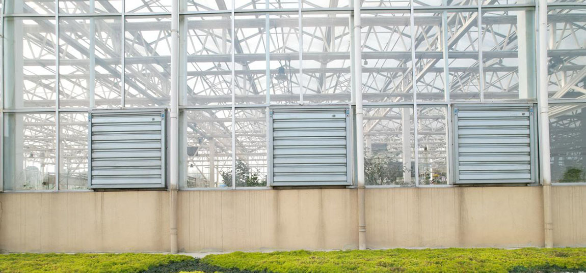 The Pros and Cons of Glass Greenhouses6