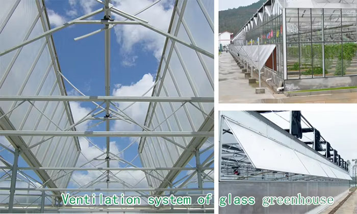 Commercial Building Material Panel Sheet Polycarbonate PC Board Greenhouse-897