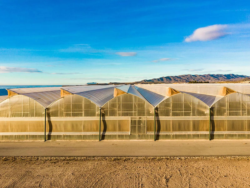 Desert Greenhouse