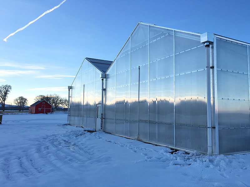 Greenhouse in cold region