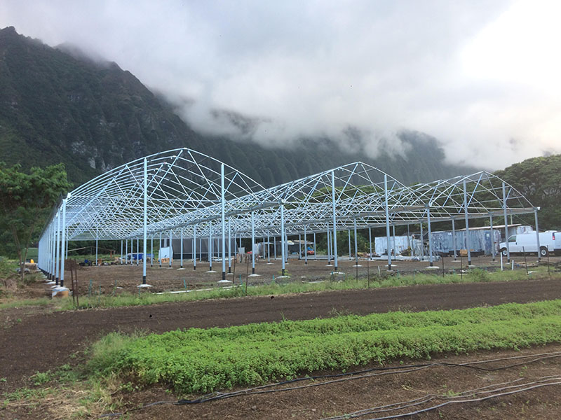 Mountain Greenhouse