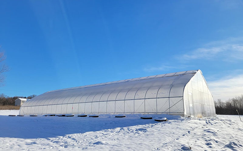 Single-arch greenhouse