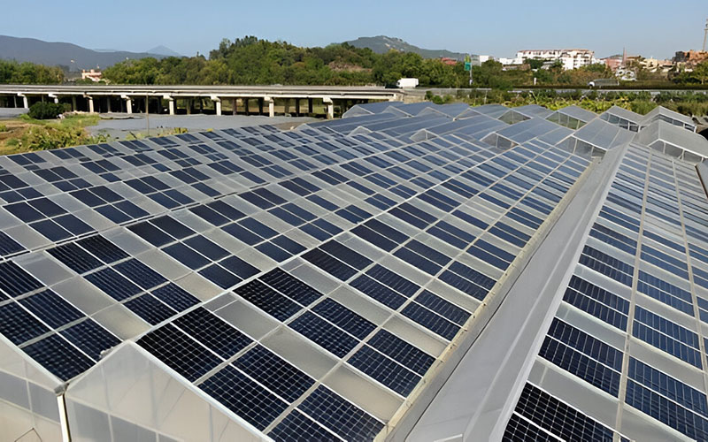 Solar Greenhouse