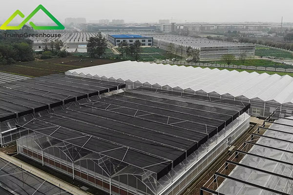 Multi span agriculture greenhouse galvanized steel pipe green house metal frame steel pipe-32