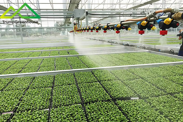 Multi span agriculture greenhouse galvanized steel pipe green house metal frame steel pipe-56