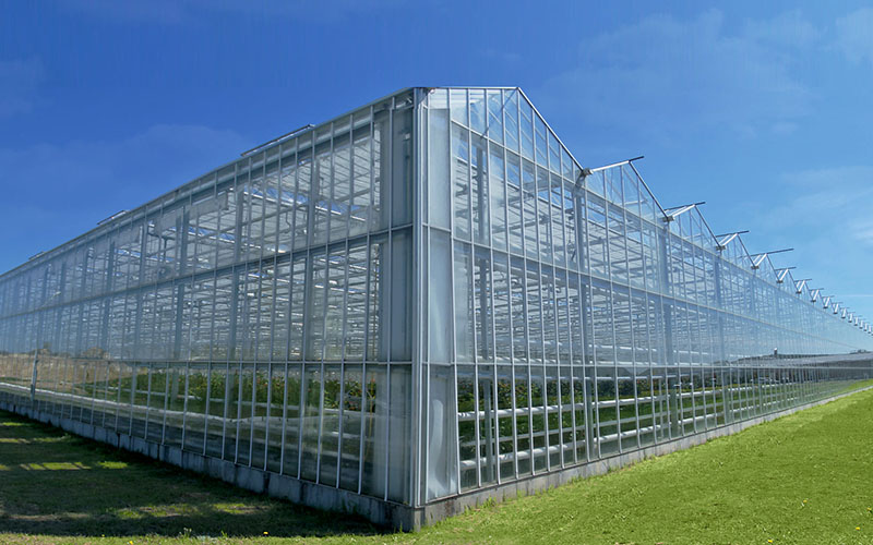 glass greenhouse (2)