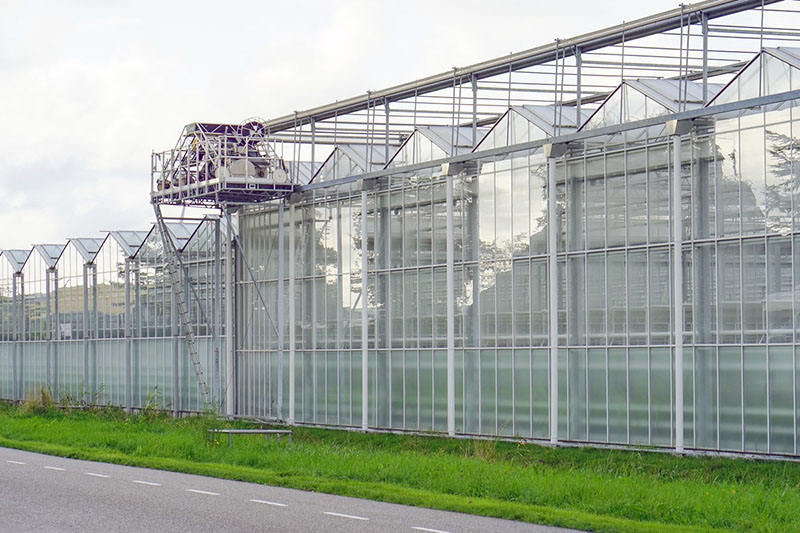 glass greenhouse (3)