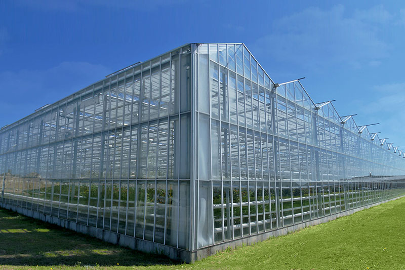 glass greenhouse (4)