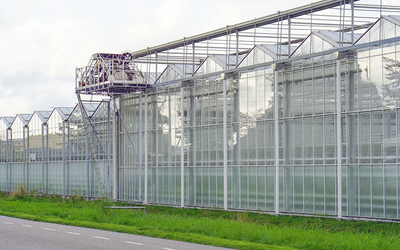 glass greenhouse