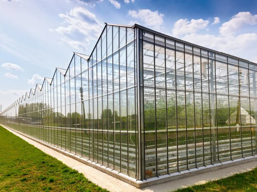 glass greenhouse8 (5)