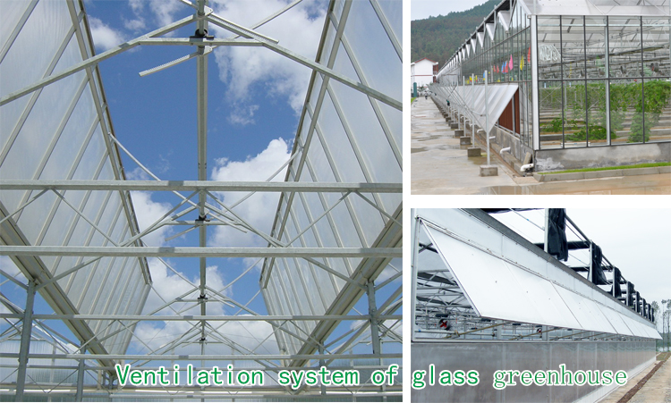 	 Light Deprivation Greenhouse Gutter Connected Multispan blackout systems for medical plants-496