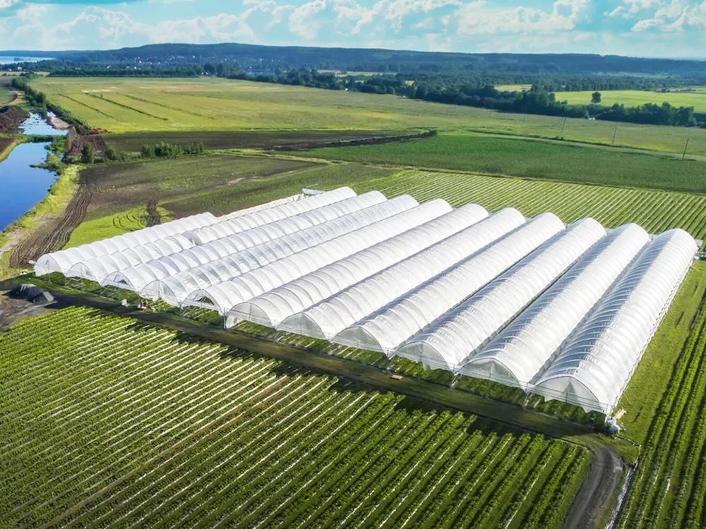 shading greenhouse