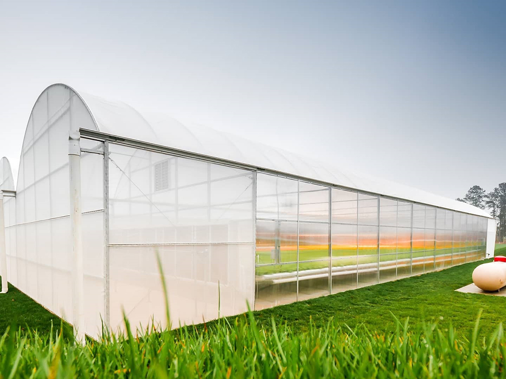 single span greenhouse