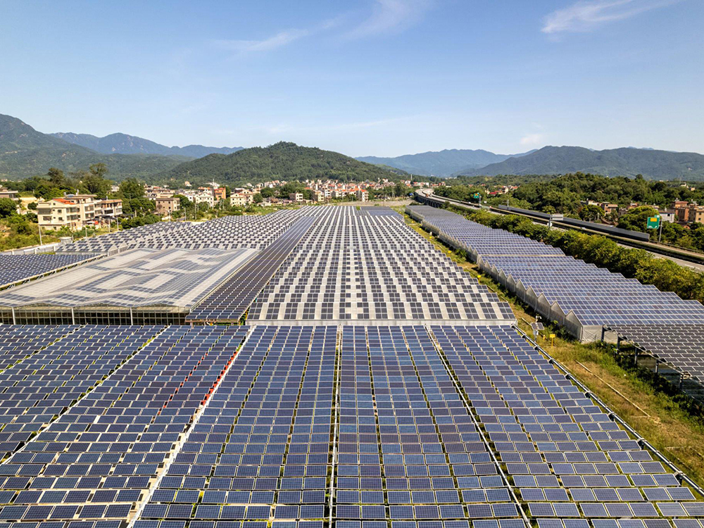 solar greenhouse (2)