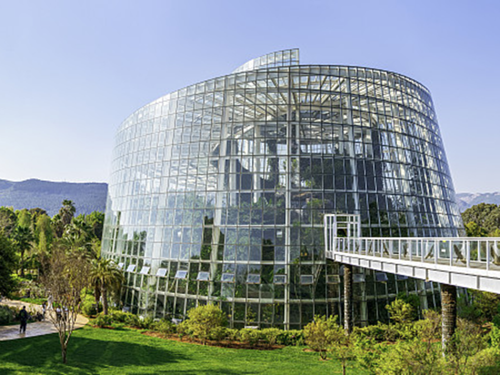 solar greenhouse from pandagreenhouse (3)