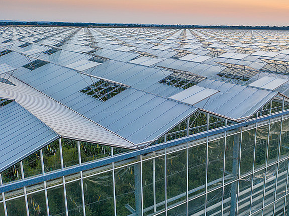 solar greenhouse from pandagreenhouse (4)